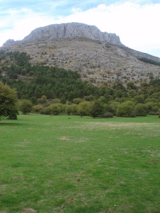 Casa Rural Casa Gonzalo Pension Bélmez de la Moraleda Buitenkant foto